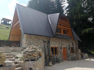 Guesthouse Planinarski dom Neviđen'o - Žabljak - 1