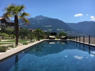 Hotel Ortler - Dorf Tirol - 9