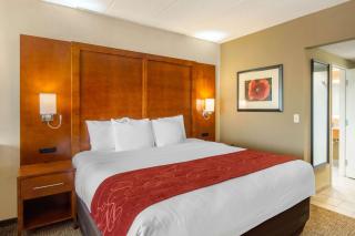 Comfort Suites Southpark - Colonial Heights - 1