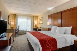 Comfort Suites Southpark - Colonial Heights - 2
