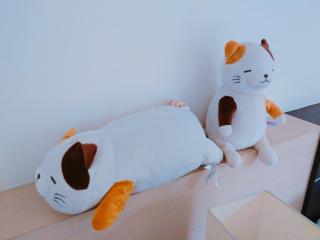 Star Coffee & Homestay - Nanzhuang - 6