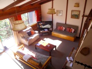 Retro 2 Bedroom Apartment - Thredbo - 5