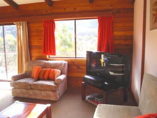Retro 2 Bedroom Apartment - Thredbo - 7