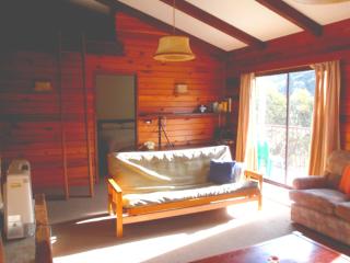 Retro 2 Bedroom Apartment - Thredbo - 8