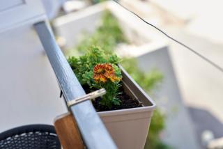 Apartment Ugrina - Trogir - 5