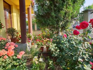 Casa di Madi - 6