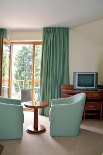 Hotel Mladimir - Daruvar - 3