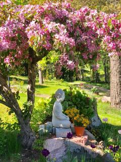 Himalayan cabin Inkoo - 9