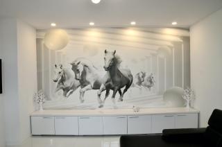 Apartament Domi - Gniezno - 3