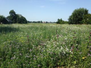 Bêd en Brochje de Hollen - 7