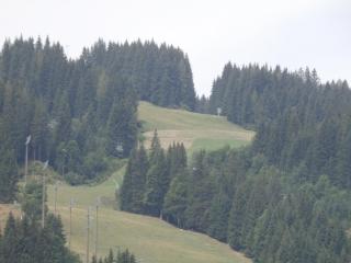 Appartements Gotthardt - Flachau - 3