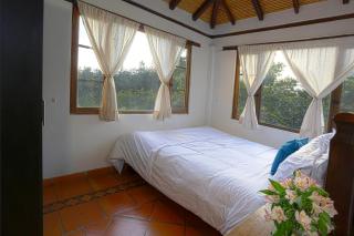 Casa de las Palmas - 4