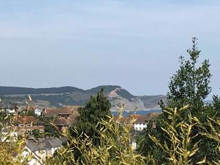 Lyme View Apartment - 8