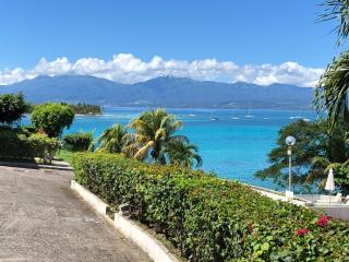 PELICAN PARADISE - 3