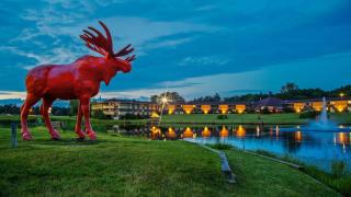 SureStay Plus Hotel by Best Western Black River Falls - Black River Falls - 0