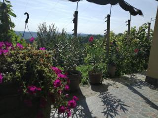House of The Red Poppy - Mirkovec - 1