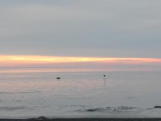 Treimani Hoovimaja - 2