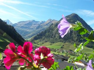 Frühstücks- Pension Sonnblickhof inklusive SommerCard - Rauris - 9
