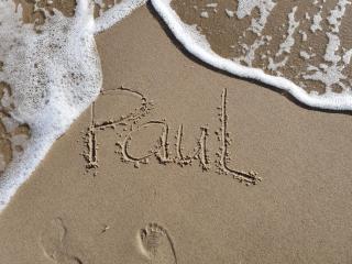 Ferienwohnung Paul - 1