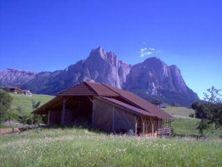 Residence Viktoria - Castelrotto - 1