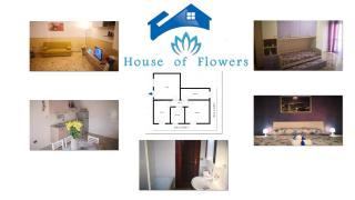 House of Flowers - 9