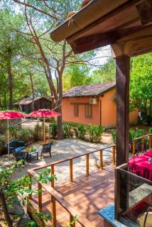 Camping Lacona Pineta - Capoliveri - 4