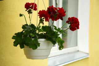 Hotel Miks - Cherníhiv - 1