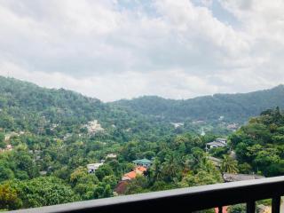 Riverdale Ridge Holiday Apartments - 3