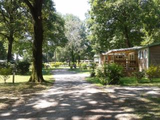 Camping OAKi - 9
