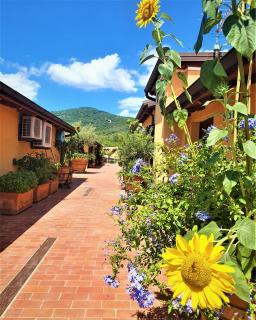 "La Terrazza di Castiglione" APPARTAMENTI VACANZA - Castiglione della Pescaia - 5