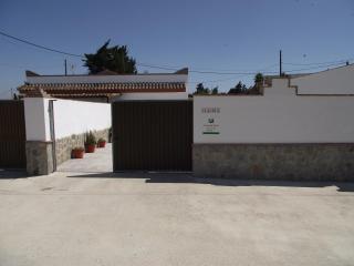 CASA CLAUDIA - Conil de la Frontera - 7