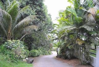 Kokogrove Chalets - Anse Royale - 7