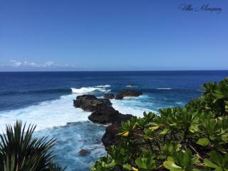 Villas Manapany - Saint-Joseph - 9