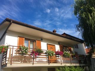 Farm Stay Pri Cepčovih - Golac - 6