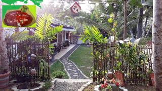 Wine Tree Garden Guesthouse - 8