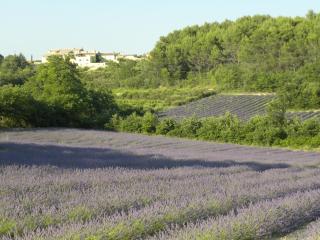 Les Vallons Holiday Home - Lioux - 9
