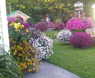 Sunset Motel at Armand's Gardens - Saint Ignace - 6