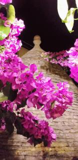 Trulli Antica Fonte - 2