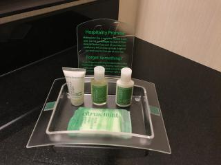 Holiday Inn & Suites Winnipeg Downtown by IHG - Winnipeg - 3