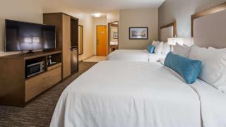 Best Western Plus Hudson I-94 - Hudson - 8