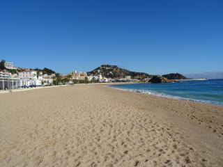 Apartamentos Elvira - 8