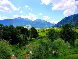 Hotel Alpin - Ehrwald - 8