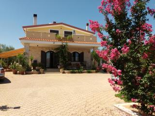 Villa Calendula - 8