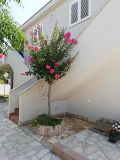 Apartment Ivkica - Nin - 7
