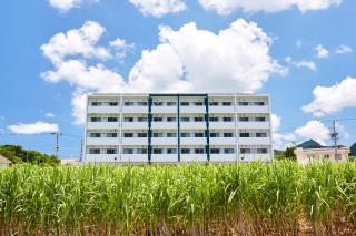 Comfort Villa - Motobu - 3