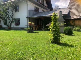 Apartma Tajč - Bohinj - 8