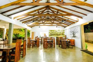 Arana Yala - 5