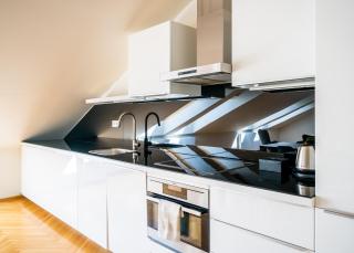 Luxurious Woodrow Wilson apt in Prague centre - Prague - 8