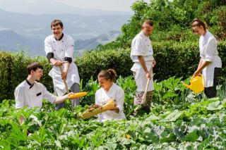 Sonnenhotel Adler Spa & Nature Adults only - Villanders - 7