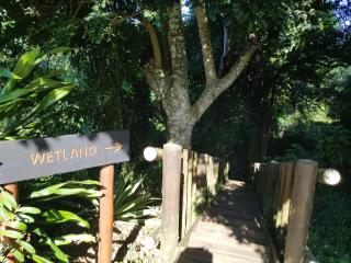 Ndiza Lodge and Cabanas - St Lucia - 2